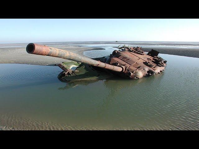 Жизнь после людей - Вооруженные и беззащитные