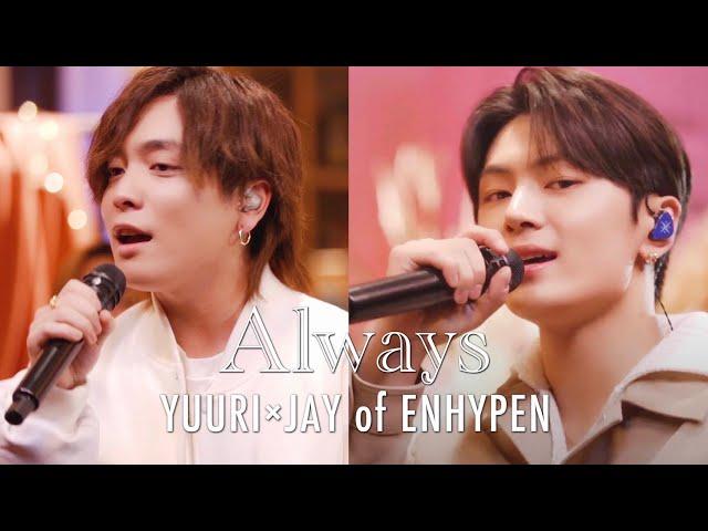 [Collaboration Cover] ENHYPEN JAY & Yuuri - Always(原曲: ENHYPEN)