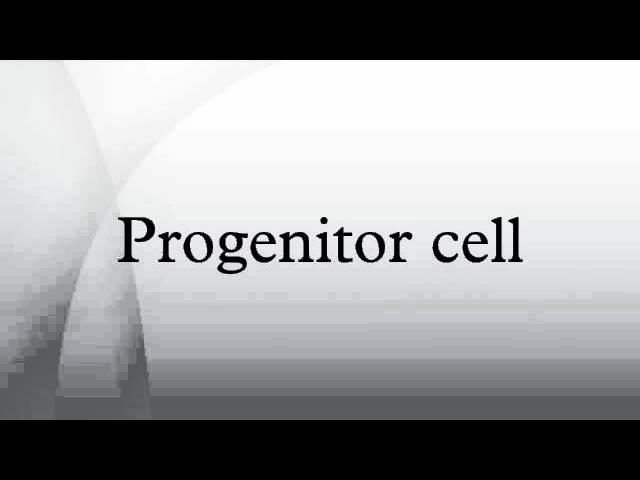 Progenitor cell