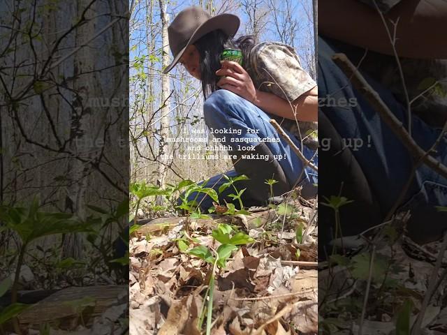 May 10, 2025 #exploring #michigan #forest trillium