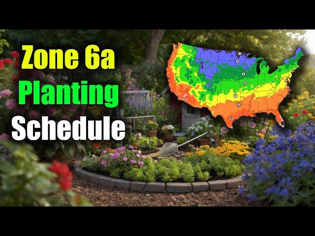 Zone 6a Planting Schedule: Zone 6a Planting Made Easy