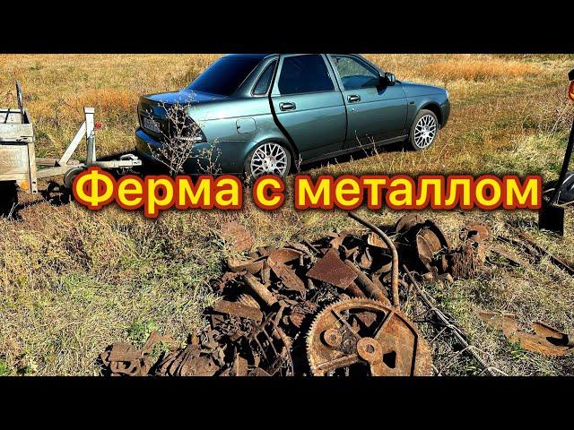 На одной ФЕРМЕ набрали отличный ВЕС металла!!! КОП МЕТАЛЛА НА ФЕРМЕ ! Металлокоп!