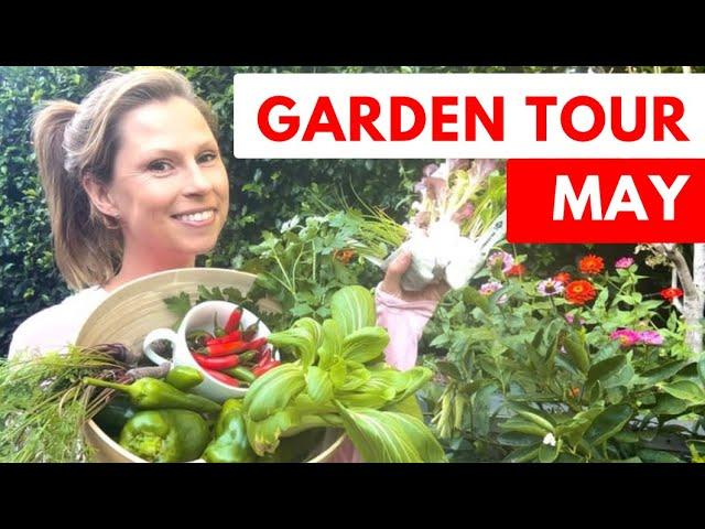 MAY - Full Melbourne vegetable garden TOUR - plus what to plant now! Gardening Australia