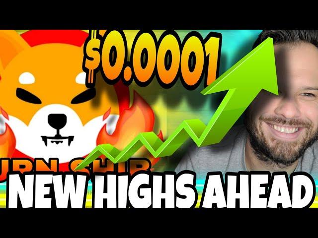 Shiba Inu Coin | Analysts Are Expecting New All Time Highs! Time To Drop a Zero?!