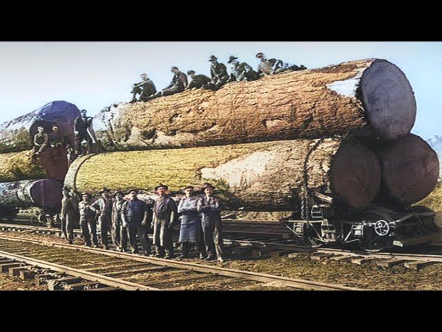 Log to Lumber - How American Lumber is Made