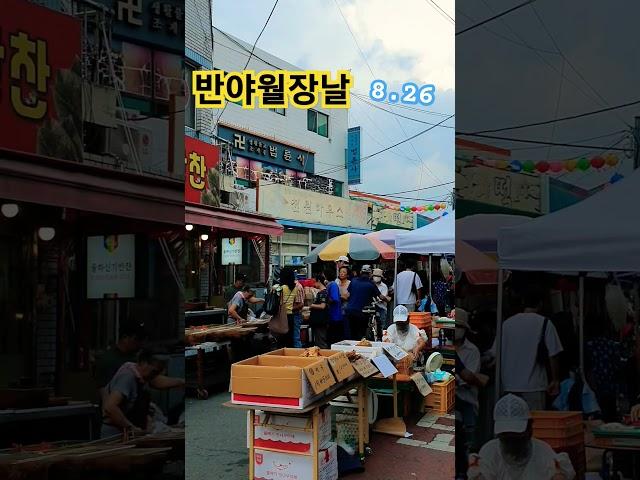 활력.충전소#shorts#힐링