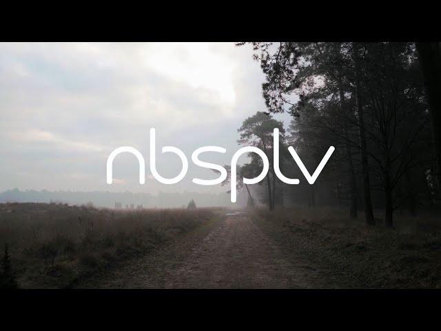 NBSPLV - Field Theory