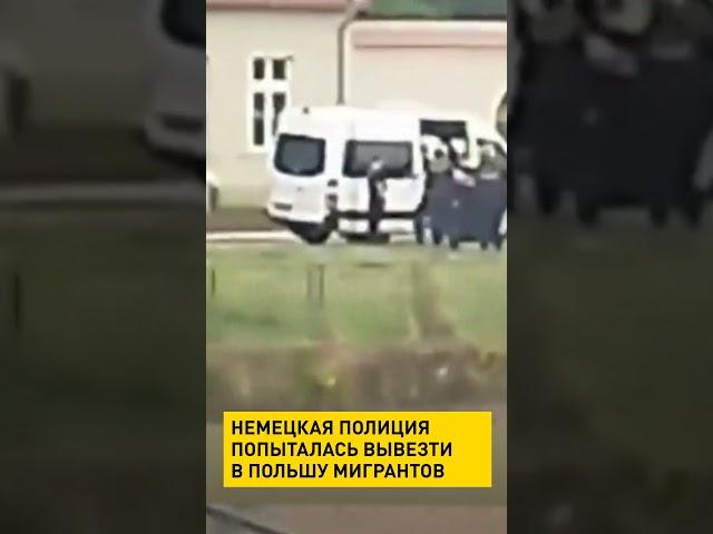 Немецкая полиция попыталась вывезти в Польшу мигрантов #shorts #short #новости