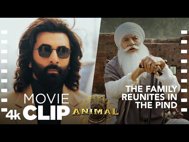 ANIMAL SCENE #10: The Family Reunites in the Pind | Ranbir K, Sandeep V, Bhushan K