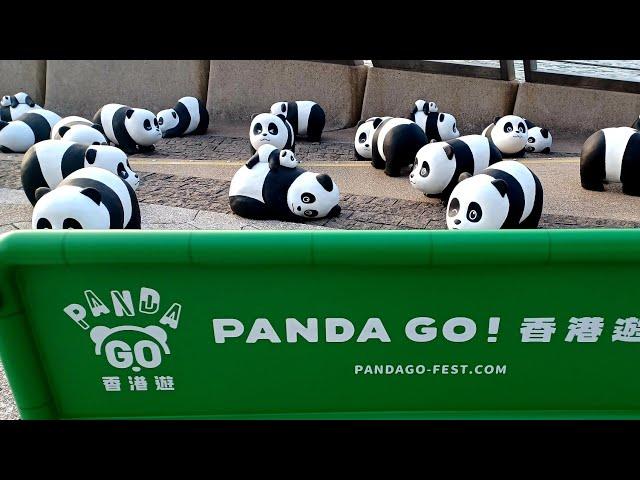 Panda Go Fest HongKong