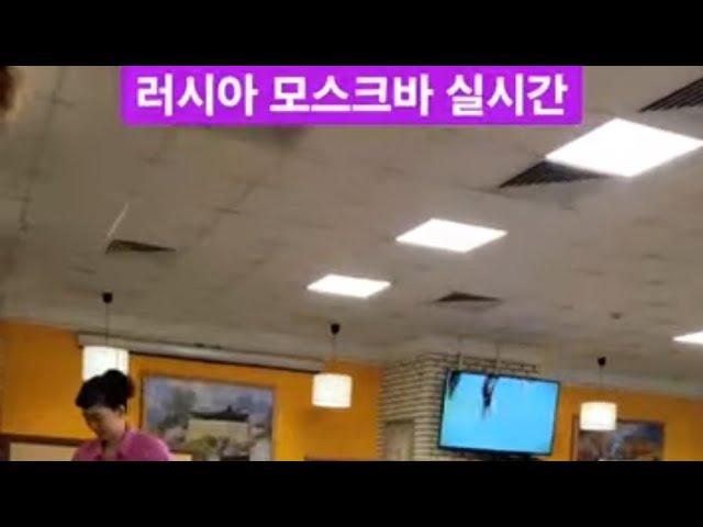 러시아 모스크바 실시간 방송!! 북한식당 잠입취재??한국식당 hite! 전쟁중이지만 모스크바는??