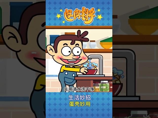 吃过的鸡蛋壳不要扔，有妙用！ #二次元#专治不开心 #看一遍笑一遍 #生活小妙招