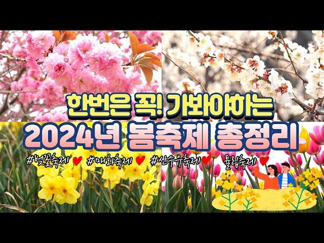 무조건 꼭 가세요!!ㅣ3월에 놓치면 후회하는 봄꽃 여행지 추천 ㅣ2024 봄꽃 축제정보 총정리ㅣ개화시기 만개시기ㅣ매화 벚꽃 산수유 수선화 튤립 축제 일정