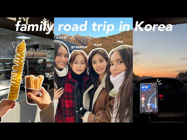 what i eat on a family road trip  Korean gas stop & convenience store food, car mukbang, deep talk!