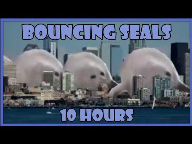 bouncing Seal [10 hour edition]