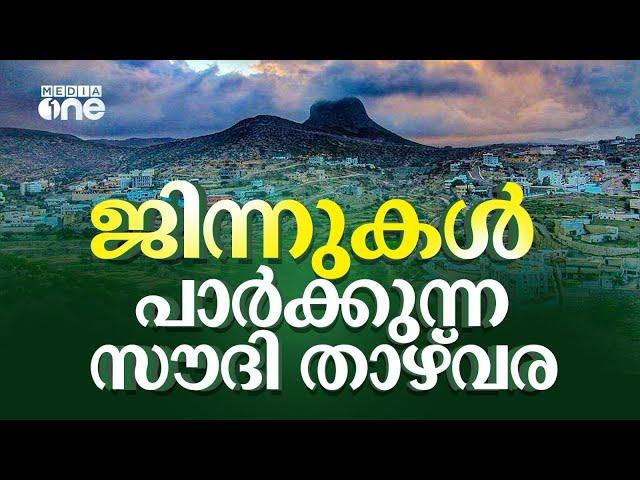 സൗദി ഗ്രാമത്തിൽ പാർക്കുന്ന ജിന്നുകൾ കൊണ്ടുപോയവർ | Harfa Mountain Jinn | Saudi Story