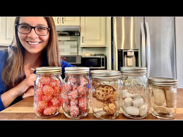 Freeze Dried Candy: Our Top Picks