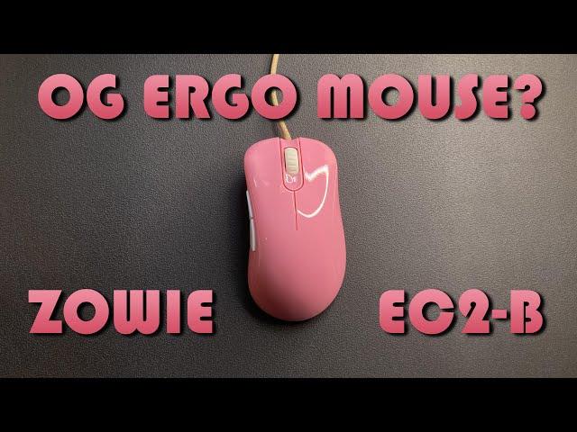 REVIEWING THE OG CS:GO MOUSE - Zowie EC2-B Divina Review