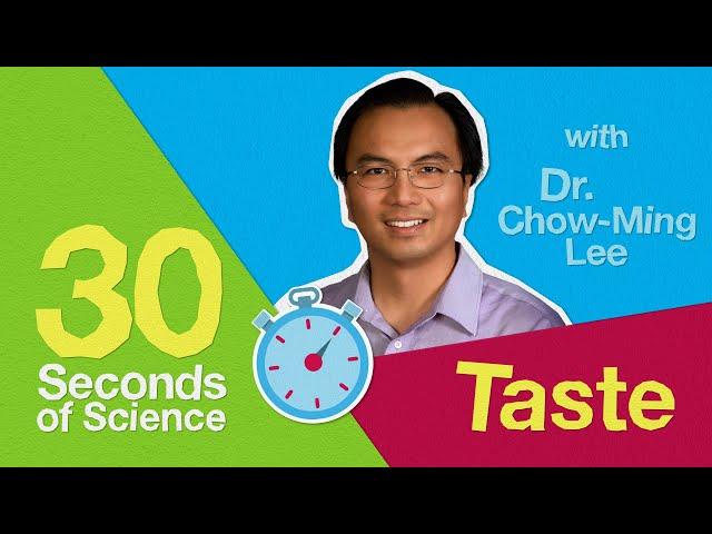 30 Seconds of Science: What is Taste? | Science at Home with Bayer