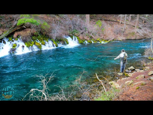 Fly Fishing for some of the coolest fish on the planet! (Bull Trout Pt. 1)