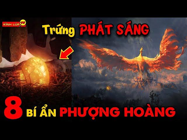  8 Bí Ẩn Ly Kỳ Và Thú Vị về Phượng Hoàng | Kính Lúp TV