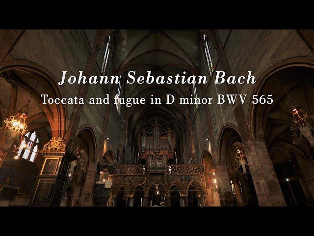 Bach: Toccata & Fugue in D minor BWV 565 | Benjamin Alard