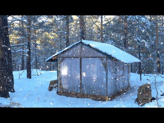 8 Days Alone in The Forest: Relaxing in a Cabin From January to March