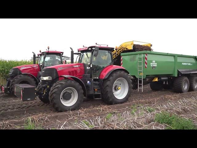 Case Puma 260 Ropa Keiler 2 Aardappeloogst Potato harvest