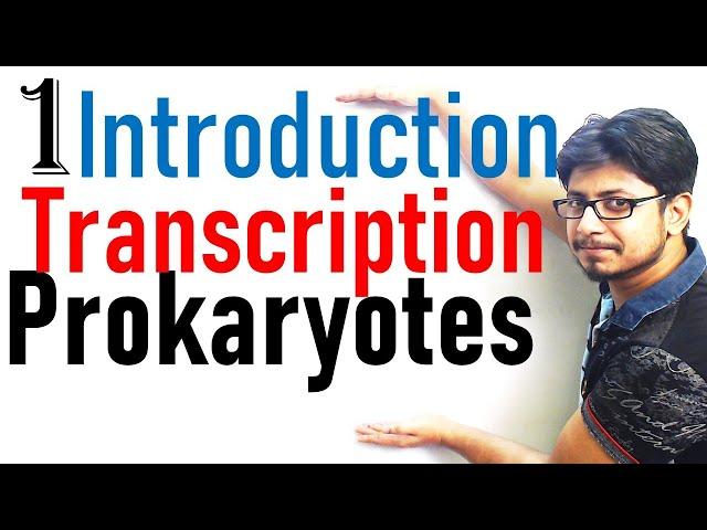 Transcription in prokaryotes introduction | Transcription lecture 1