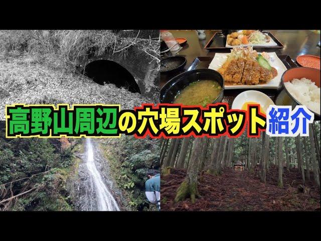 【高野山】和歌山県・高野町にある穴場巡り｜謎のトンネル｜絶品のとんかつ｜大迫力の滝