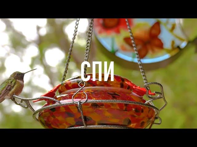СПИ С БИБЛИЕЙ: Обрети Покой и Вдохновение в Божьем Слове