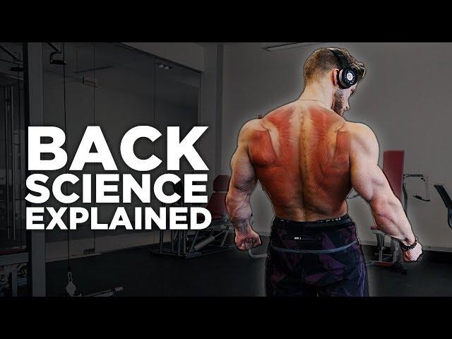 The Most Scientific Way to Train Your BACK  | Training Science Explained