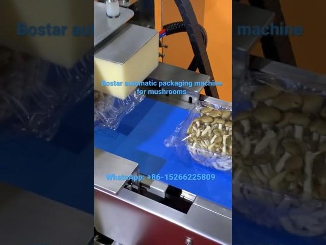 Bostar Automatic flow wrap machine for mushrooms