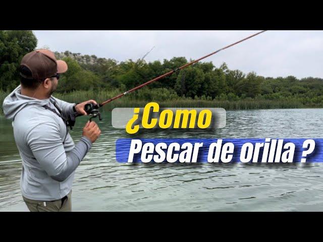 SHORE BASS Fishing: Tips, Lures and Techniques