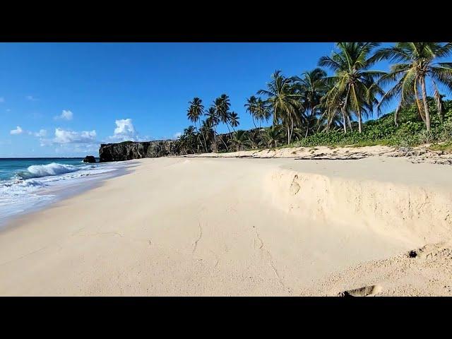 September 30, 2024 - The Cliffs & Beach at Bottom Bay with J (Barbados 4k)