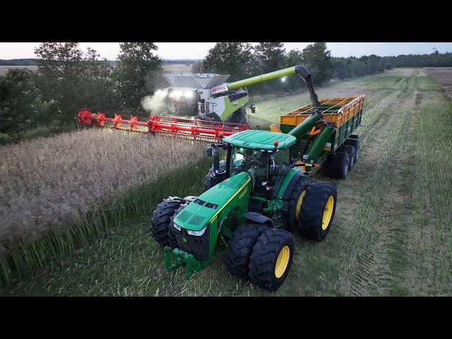 Claas Lexion 8900 harvesting Canola | John Deere 8335R with Duals | Harvest 2024