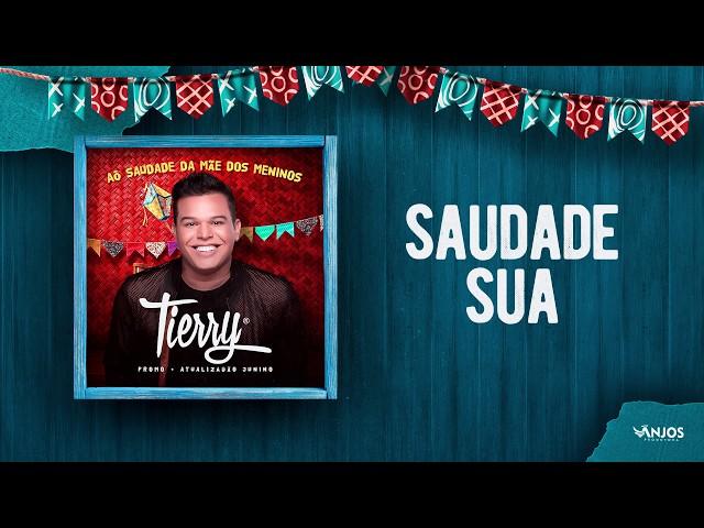 Tierry - Saudade Sua (Promocional - Atualizadão Junino)