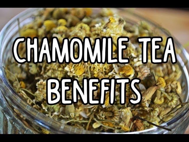 5 Reasons To Switch From Regular Tea To Chamomile Tea For Anxiety