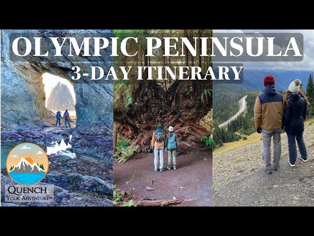 3 DAY ITINERARY OLYMPIC NATIONAL PARK, WA | Hurricane Ridge, Hoh Rainforest, Rialto & Second Beach