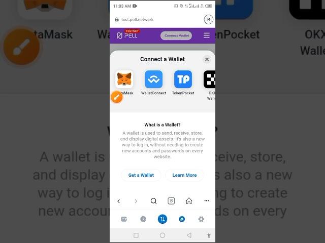 How To Complete Pell Quest In Satoshi App (PART 2)