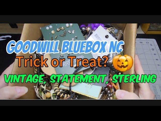 Goodwill Blue Box North Carolina mystery jewelry unboxing vintage, statement necklaces, and Sterling