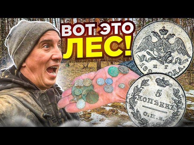 Нашли лес полный серебра! Откуда их столько здесь?! Показываю находки с металлоискателем Фрогман Б75