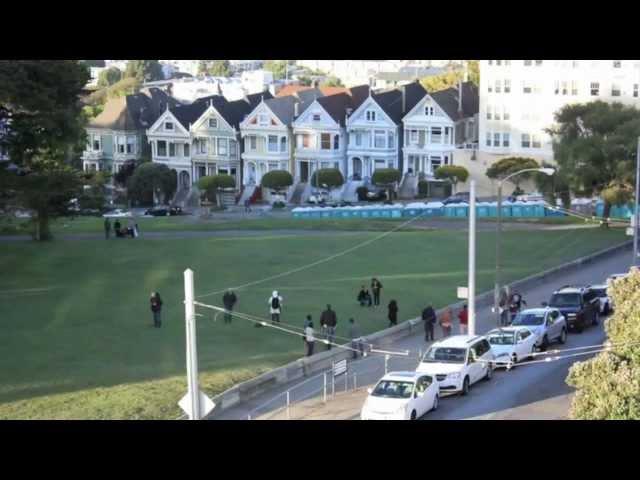 Painted Ladies Timelapse