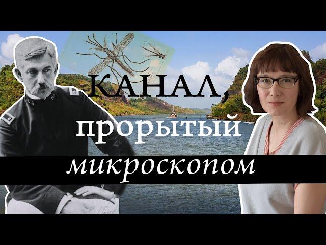 Как, несмотря на невозможность, Панамский канал все-таки был построен