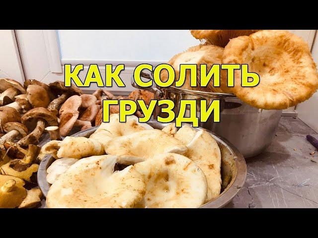 Как правильно солить грузди