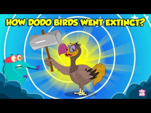 The Mysterious Extinction Of Dodo Birds | Story of Dodo Birds | Extinct Birds | The Dr. Binocs Show