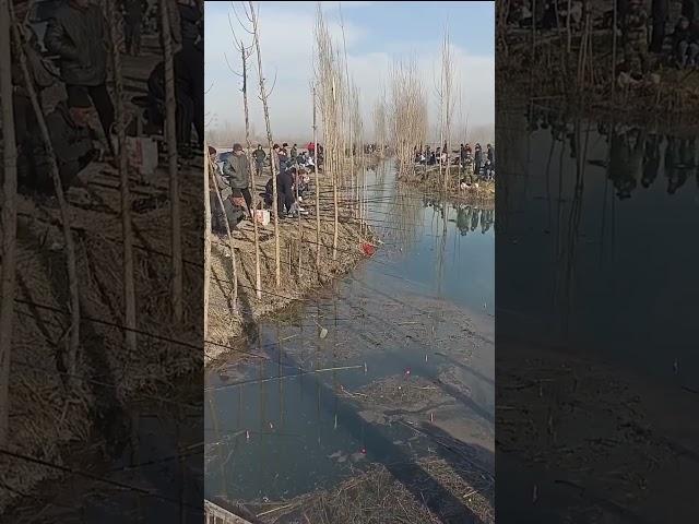 В ожидании Астраханской воблы#fishing#астрахань#рыбалка#отдых#вобла#