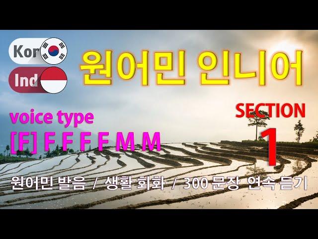 원어민 인니어 / Type [F] F F F F M M [Section 1] 생활 회화. / 짧고 쉬운 300문장 연속듣기