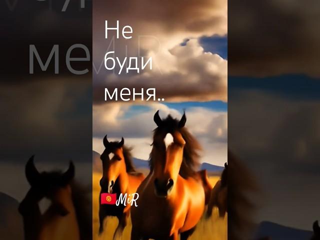 MiR - Родина моя...(Посвящение Кыргызстану).Автор и исполнитель MIRhan #музыка #music  #kyrgyzstan