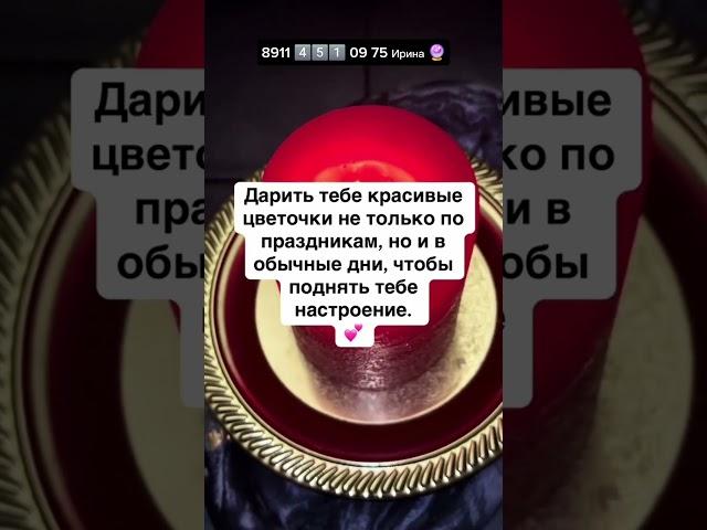 #таро #таросила #картытаро #таролог #tarot #гадание #онлайгадание #тароонлайн